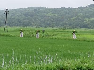 Image of 1089 Sq.ft Residential Plot / Land for sale in Invest Mahamumbai Plots In Uran, Uran, Navi Mumbai for Rs. 255600