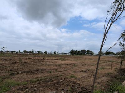 Image of 202 Sq.ft Residential Plot / Land for sale in Shadnagar, Ranga Reddy for Rs. 3155000