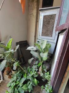 Balcony Image of 890 Sq.ft 2 BHK Builder Floor for sale in Darshan Purwa Kanpur for Rs. 5500000