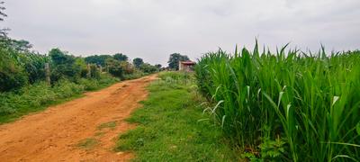 Image of 43560 Sq.ft Residential Plot / Land for sale in Kandukur, Hyderabad for Rs. 15000000