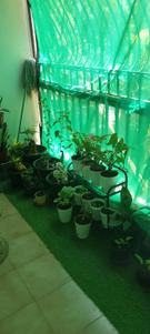 Balcony Image of 1300 Sq.ft 2 BHK Apartment / Flat for rent in Lakshmi Vijaya Nagar, Velachery Chennai for Rs. 33000