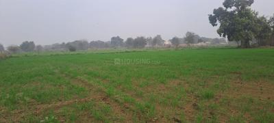 Image of 5000 Sq.ft Residential Plot / Land for sale in Ajayabpur, Greater Noida for Rs. 55000000