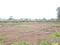 Perne Plot View 2