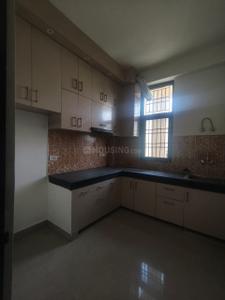 Kitchen Image of 1377 Sq.ft 3 BHK Builder Floor for rent in Aditya White Cottage, Bamheta Village Ghaziabad for Rs. 15000