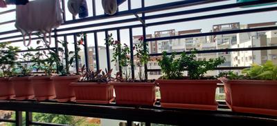 Balcony Image of 1100 Sq.ft 2 BHK Apartment / Flat for sale in Manikonda Hyderabad for Rs. 8470000