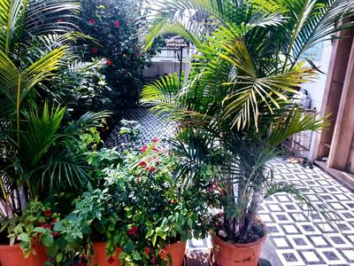 Image of 4500 Sq.ft 4 BHK Villa for sale in Malavli, Lonavala for Rs. 19700000