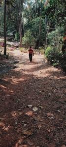 Image of 31360 Sq.ft Residential Plot / Land for sale in Mulki, Mangalore for Rs. 18000000