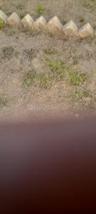 Bihta Plot View 3
