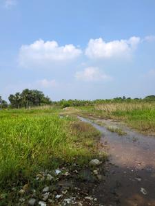 Image of 3600 Sq.ft Residential Plot / Land for sale in Natures Paradise, Joka, Kolkata for Rs. 749998