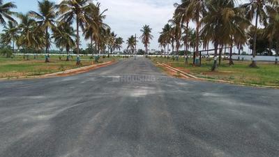 Bhogapuram More Images 3