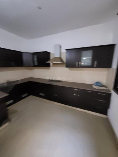 Bolywood Height 1 Main Image 1