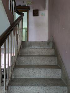 Staircase Image of 3400 Sq.ft 6 BHK Independent House for sale in Birati Kolkata for Rs. 22000000