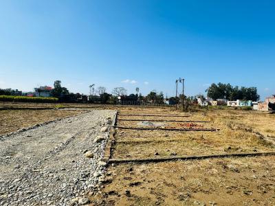 Naugaon Plot View 3