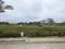 Hulimangala Plot View 2