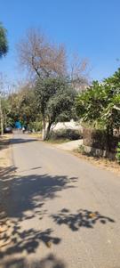 Image of 1000 Sq.ft Residential Plot / Land for sale in Palam Vihar, Gurgaon for Rs. 195000000