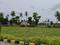 Patel Nagar, West Tambaram Plot View 2