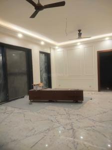 Hall Image of 6000 Sq.ft 7 BHK Independent House for sale in Sector 41 Noida for Rs. 94500000