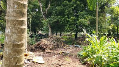 Image of 8700 Sq.ft Residential Plot / Land for sale in Kizhakkambalam, Kochi for Rs. 499995