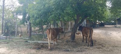 Image of 2500 Sq.ft Residential Plot / Land for sale in Kottivakkam, Chennai for Rs. 37800000