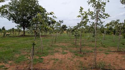 Image of 6000 Sq.ft Residential Plot / Land for sale in Yeswanthpur, Bengaluru for Rs. 4800000