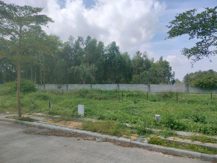 Ap township neeladri road Main Image 1