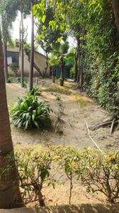 Image of 3000 Sq.ft 3 BHK Farm House for sale in DPL Nature Retreat, Tech Zone, Greater Noida for Rs. 7500000