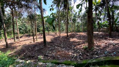 Image of 3000 Sq.ft Residential Plot / Land for sale in Sreekariyam, Thiruvananthapuram for Rs. 4500000