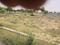 Bamrauli Katara Plot View 2