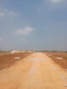 Century Nature City Internal Roads 2