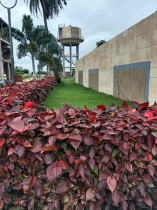 Image of 675 Sq.ft Residential Plot / Land for sale in Maina Anmol Orchid, Kanadiya, Indore for Rs. 3172500
