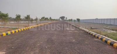 Solra Plot View 2