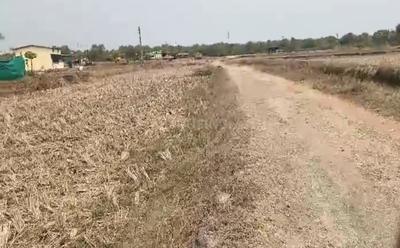 jui Plot View 3