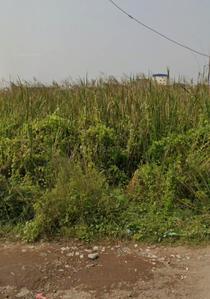 Khanberia Plot View 3