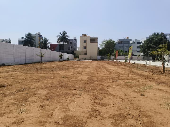 Sizzle White Willows by Sizzle Properties Main Image 1