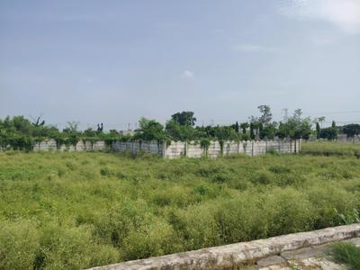 Image of 445 Sq.ft Residential Plot / Land for sale in Del NCR Residency, Yeida, Greater Noida for Rs. 1159000