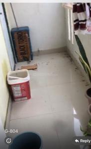 Balcony Image of 550 Sq.ft 1 BHK Apartment / Flat for rent in DDA Flats Sector 14, Sector 14 Dwarka New Delhi for Rs. 22000