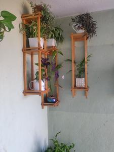 Balcony Image of Sshree in Mathikere, Bengaluru
