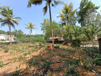 Elamkulam Plot View 3
