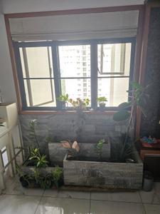 Study Room Image of 4200 Sq.ft 5 BHK Apartment / Flat for sale in Panampilly Nagar Kochi for Rs. 32000000