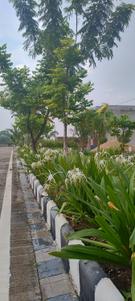 Image of 1406 Sq.ft Residential Plot / Land for sale in Bhilai Marshalling Yard, Charoda for Rs. 2390200