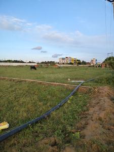 Image of 1000 Sq.ft Residential Plot / Land for sale in Jhalwa, Allahabad for Rs. 3600000