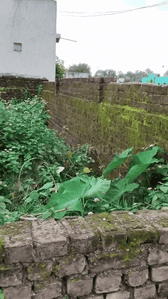 Image of 435 Sq.ft Residential Plot / Land for sale in Pandra, Ranchi for Rs. 1500000