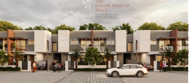 Kasindra Main Image 1