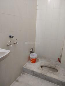 Image of 800 Sq.ft 2 BHK Apartment / Flat for rent in Vaishali Nagar, Indore for Rs. 15000