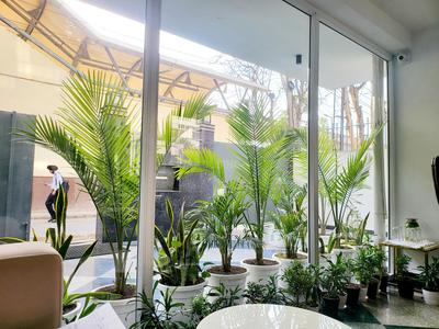 Balcony Image of Cloud Nine Rooms  in Sector 24, Gurgaon