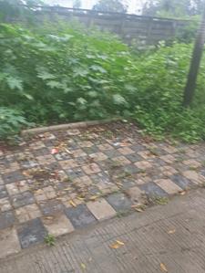 Shiv Dham Colony Plot View 3