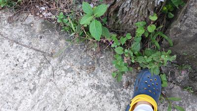 Image of 1082 Sq.ft Residential Plot / Land for sale in Uluberia, Howrah for Rs. 700000