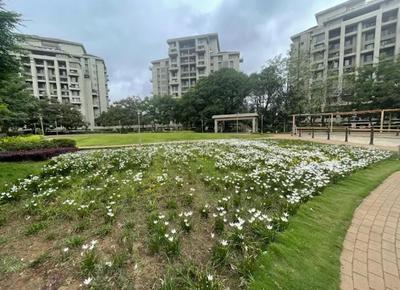 Image of 1705 Sq.ft 4 BHK Apartment / Flat for sale in Enerrgia PWC Towers Hill Side Phase III, Bhugaon, Pune for Rs. 17000000