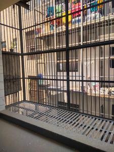 Balcony Image of 2925 Sq.ft 4 BHK Builder Floor for sale in Paschim Vihar New Delhi for Rs. 48500000