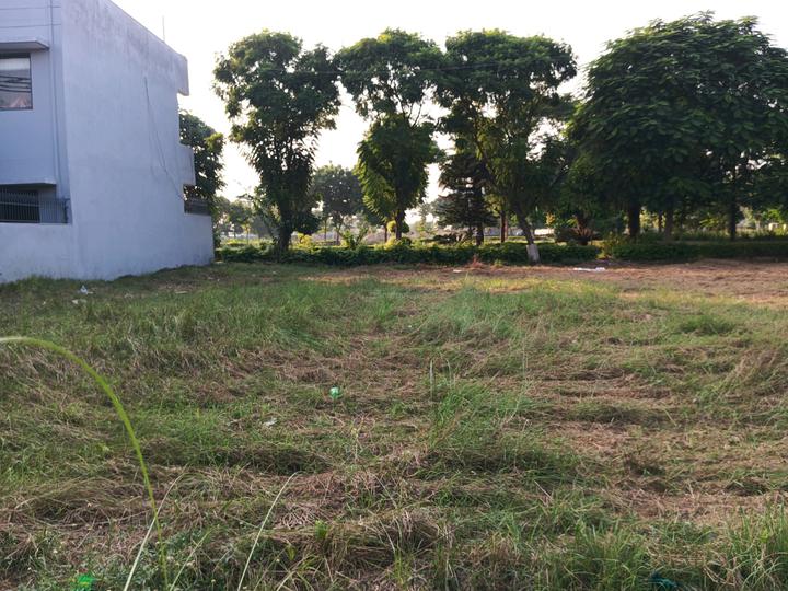 Sector 99 Main Image 1